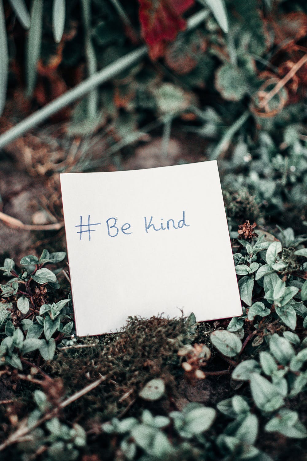 World Kindness Day
